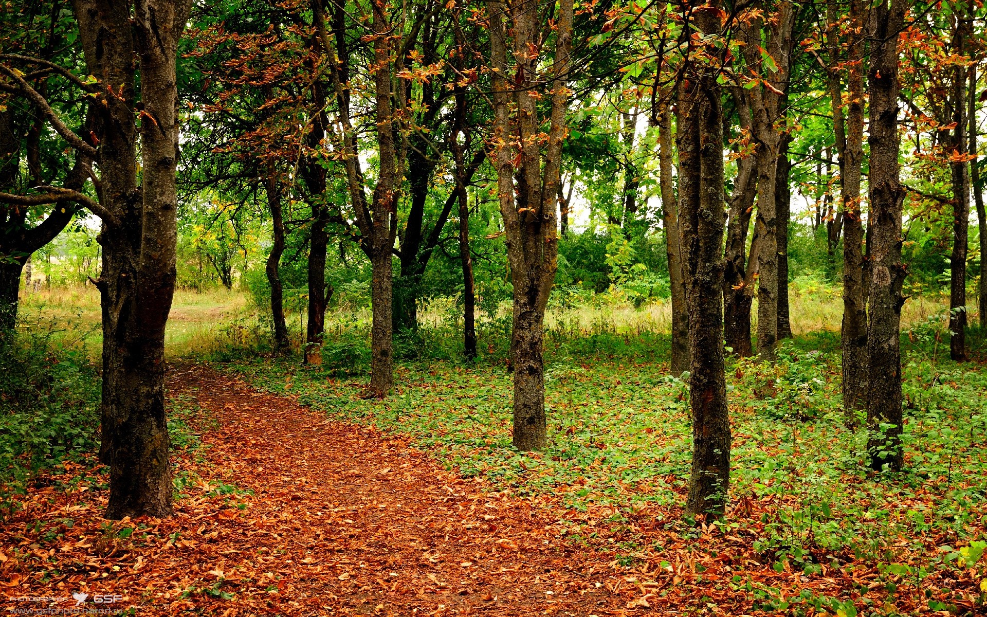 开云app-“六人制袋棍球：成都七中东部赛场成为全球瞩目的竞技中心”