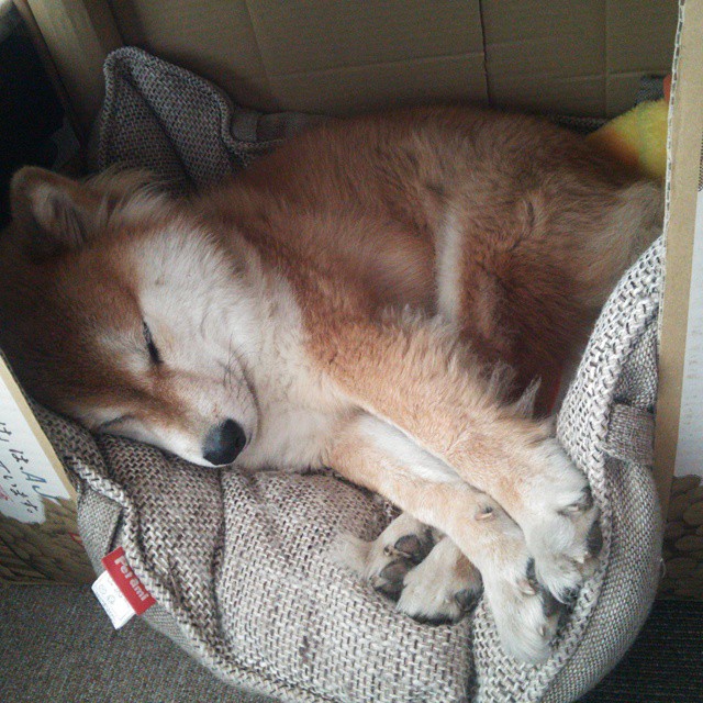 世界围棋赛冠军争夺异常激烈,世界围棋赛冠军争夺异常激烈怎么办