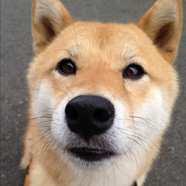 俱乐部运营团队提升赛事服务体验打造更具人文关怀氛围,俱乐部运营方案及管理