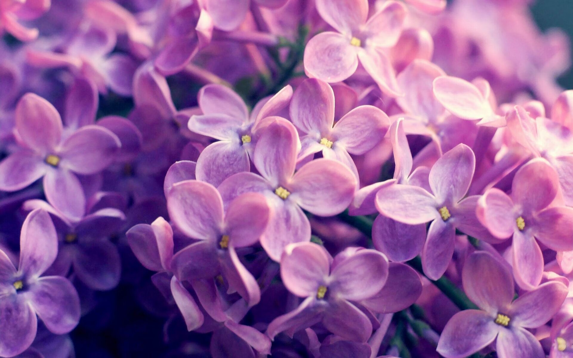 恩多比·恩乔:他以精准的踢球与出色的战术视野成为南非进攻核心