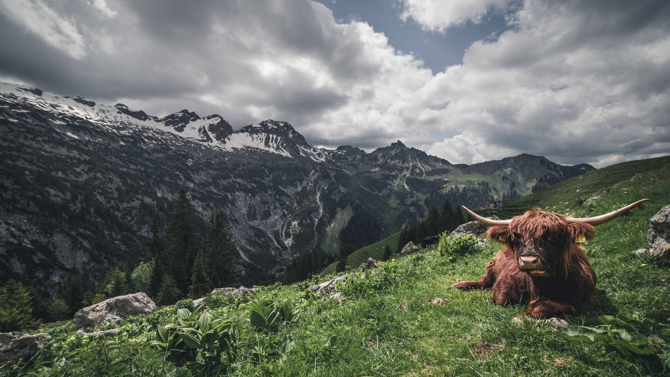 开云在线入口-林丹推广课上亲自为小选手做热身，林丹训练视频