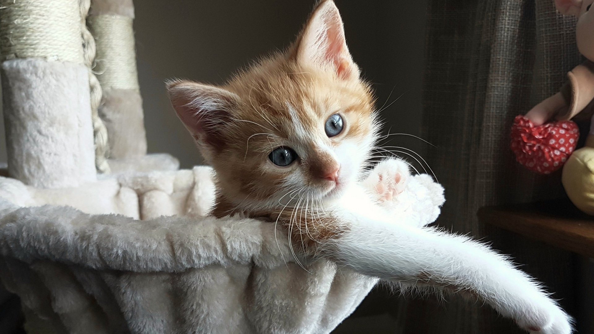 林丹推广课上亲自为小选手做热身,林丹训练视频