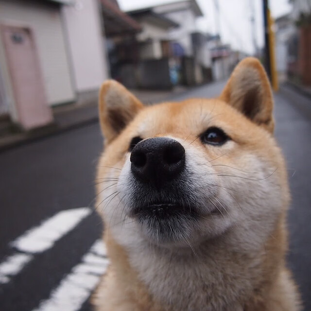 欧洲杯绝美瞬间:战术配合带来的视觉盛宴,欧洲杯详解