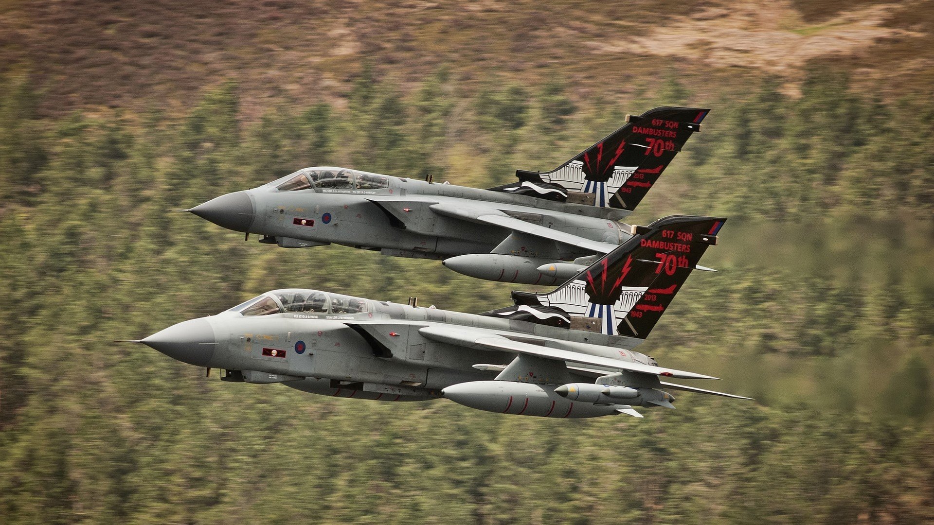 开云体育官网-沃尔什蝶泳爆发力引发热议，蝶泳swolf