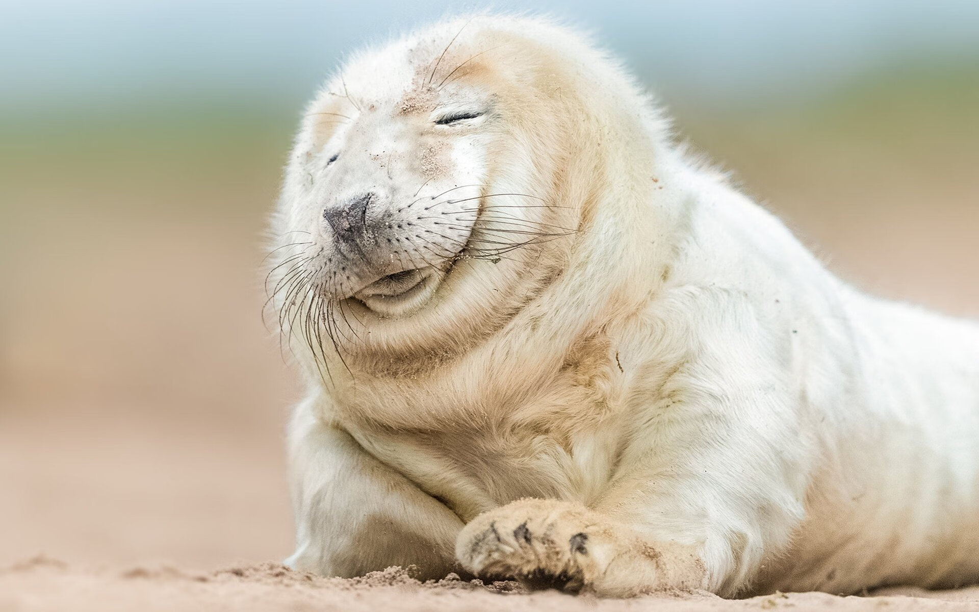 开云体育app入口-火箭安排高强度跳跃训练提升二次进攻能力，火箭漂移