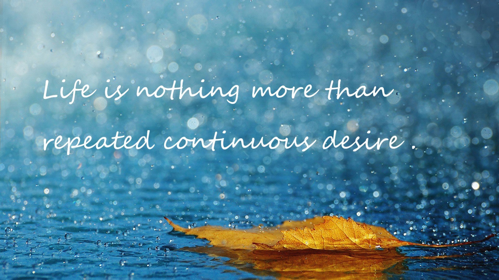 开运体育电脑版-科贝特稳扎稳打掌控全场节奏，科特贝德