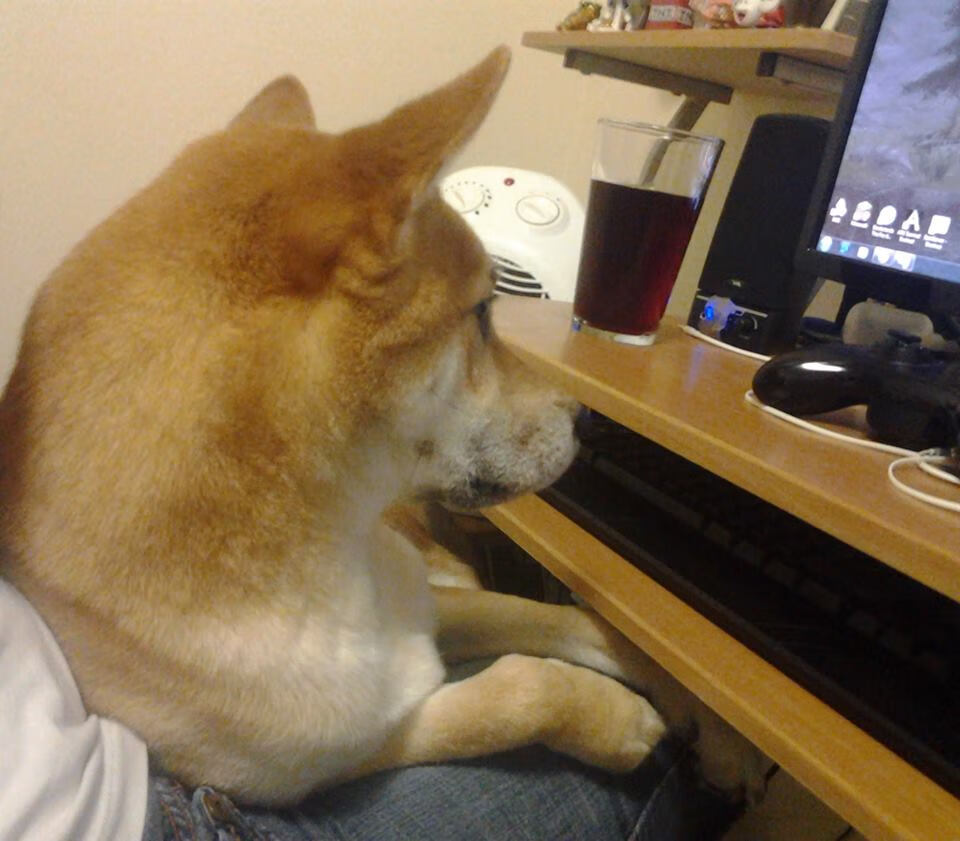 篮网调整轮换策略提升替补出场效率,篮网次轮签