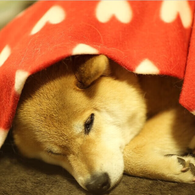 开云体育-A股震荡期，央行例会透露资金流向新迹象，a股持续震荡