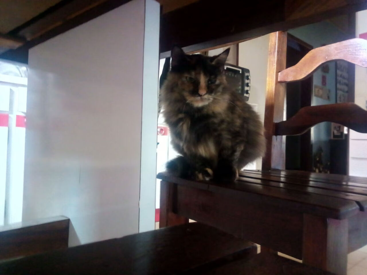 世界运动会提供国际磨炼机会，世界运动会提供国际磨炼机会吗